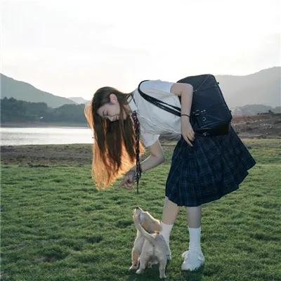 好人、巴特和洛基